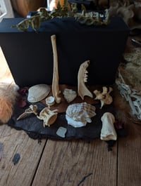 Image 4 of NW Coast / Altar set 01