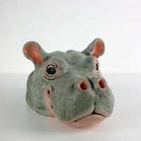 Image 2 of Hippopotamus Portrait