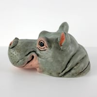 Image 3 of Hippopotamus Portrait