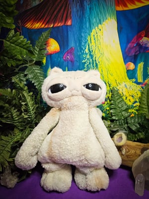 Cosmic Kitten! Neutrals Collection 