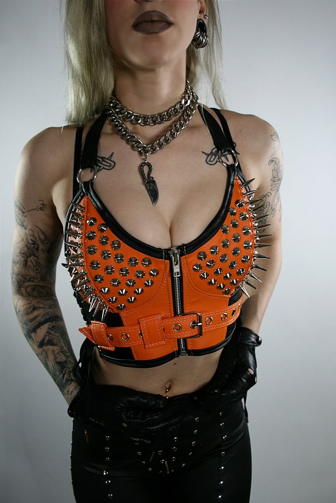 Image of HARLEY CROP BUSTIER