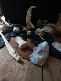 Image 4 of NW Coast / Altar set 02