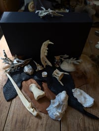 Image 3 of NW Coast / Altar set 02