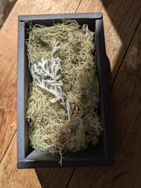 Image 3 of NW Coast / Altar set 03