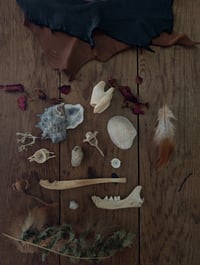 Image 2 of NW Coast / Altar set 03