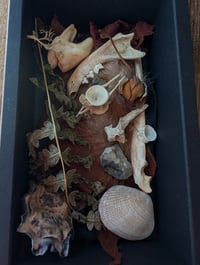 Image 4 of NW Coast / Altar set 03