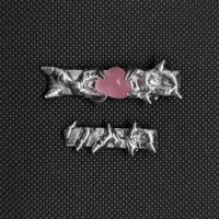Image 1 of CAT EYE HAIR CLIP
