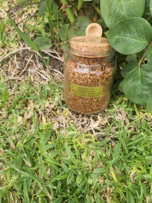 Head 2 Toe Scrub in Jar