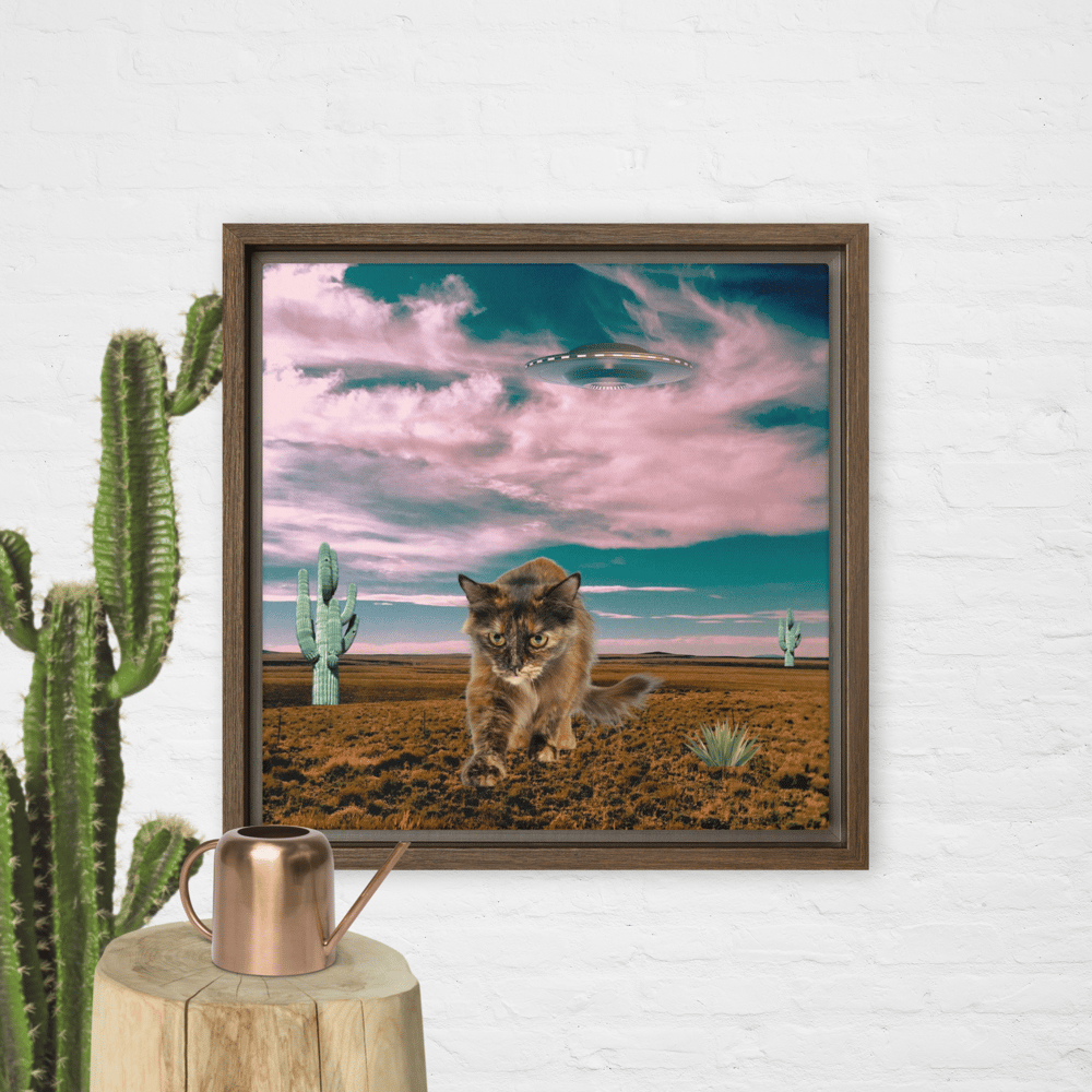 Image of FREE SHIPPING - Kitty Says Nope - 12x12 - Framed Canvas Print