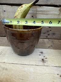 Image 5 of 4.5” Planter from the Adventure collection