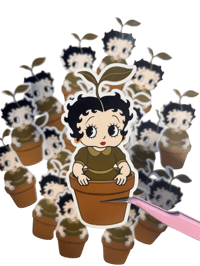 Image 1 of POTTED BETTY 