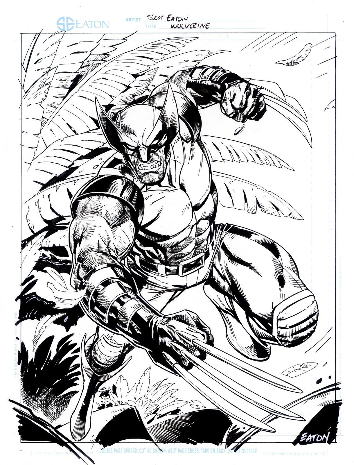 Image of NEW WOLVERINE! 9" x 12"