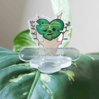 korok standee