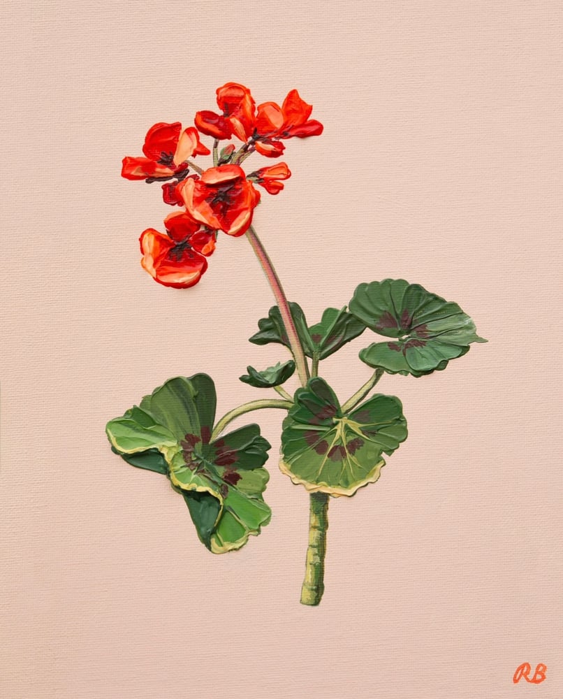 Image of GERANIUM I - GICLÉE PRINT