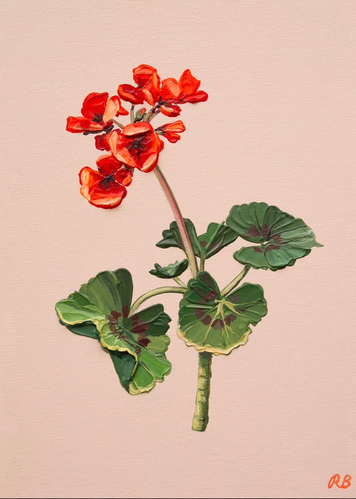 Image of GERANIUM I - GICLÉE PRINT