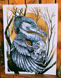 Image 1 of - Kormoran -