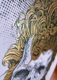 Image 2 of - Mulet Skull -