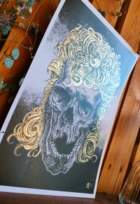 Image 3 of - Mulet Skull -