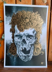 Image 1 of - Mulet Skull -