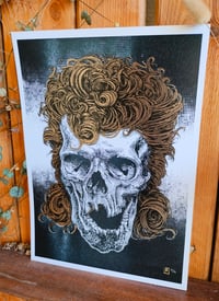 Image 4 of - Mulet Skull -