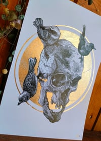 Image 3 of - tree bird Skull -