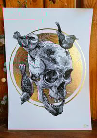 Image 1 of - tree bird Skull -