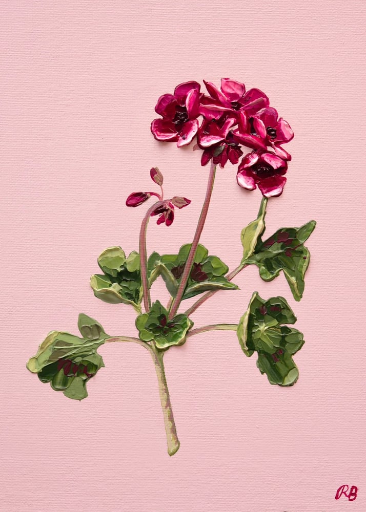 Image of GERANIUM III - GICLÉE PRINT