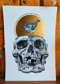 Image 1 of - Bird Skull 2 -