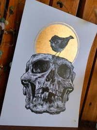 Image 4 of - Bird Skull 2 -