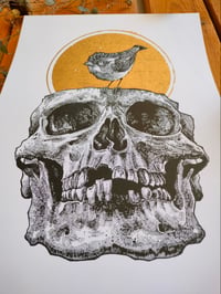 Image 3 of - Bird Skull 2 -