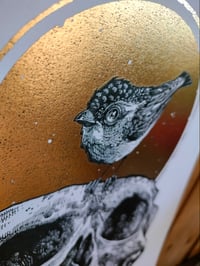 Image 2 of - Bird Skull 2 -