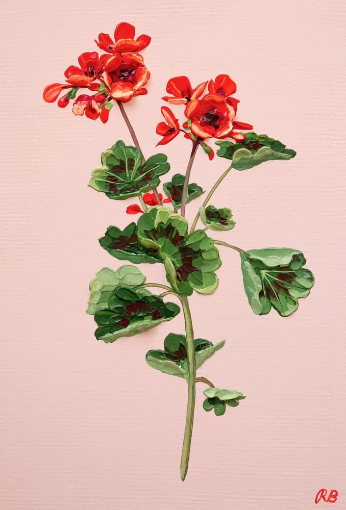 Image of GERANIUM VI - GICLÉE PRINT