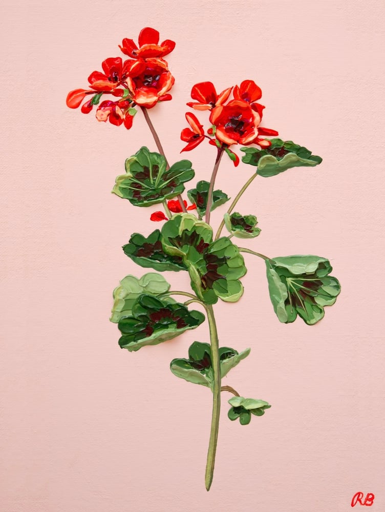 Image of GERANIUM VI - GICLÉE PRINT