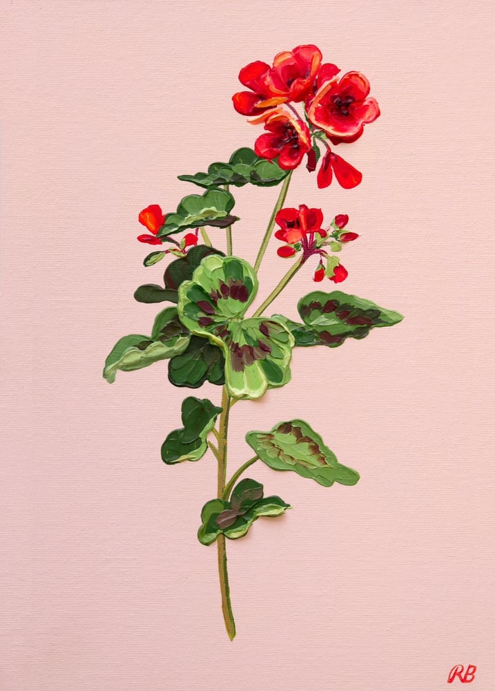 Image of GERANIUM V - GICLÉE PRINT