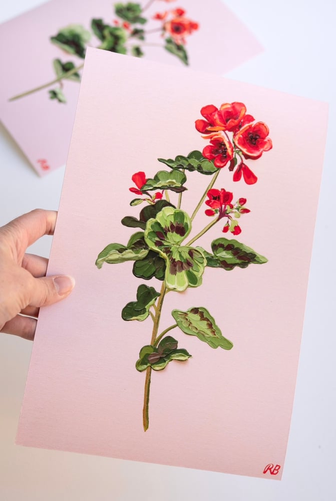Image of GERANIUM V - GICLÉE PRINT