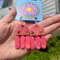 Image 2 of Coral CannaJollies