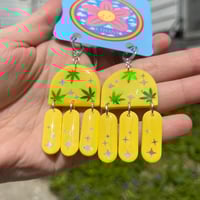 Image 1 of Yellow CannaJollies