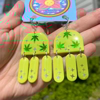 Image 2 of Granny Smith CannaJollies