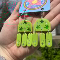 Image 1 of Wasabi CannaJollies