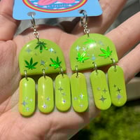 Image 2 of Wasabi CannaJollies