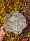 Brushed Bowl Dish