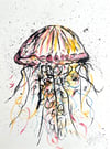 "Jellyfish" original watercolour and ink by Steve McCracken