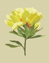 peony no.2 clay print
