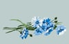 blue cornflower spray print