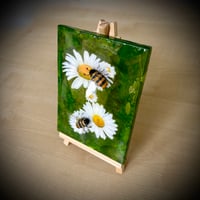 Image 4 of Double Bee Daisy Beeasel