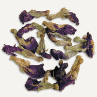 Image 2 of Butterfly Pea Tea