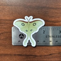 Image 2 of COTTAGECORE Luna Moth Sticker, Cute Critter Decal for Journaling &amp; Water Bottle, 2"