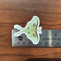 Image 3 of COTTAGECORE Luna Moth Sticker, Cute Critter Decal for Journaling &amp; Water Bottle, 2"