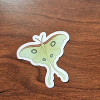 Image 4 of COTTAGECORE Luna Moth Sticker, Cute Critter Decal for Journaling &amp; Water Bottle, 2"