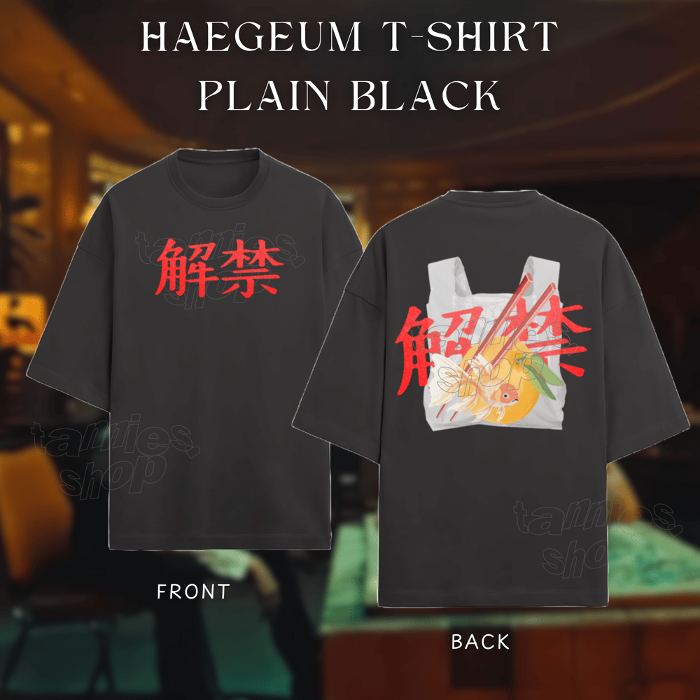 Image of HAEGEUM T-SHIRT